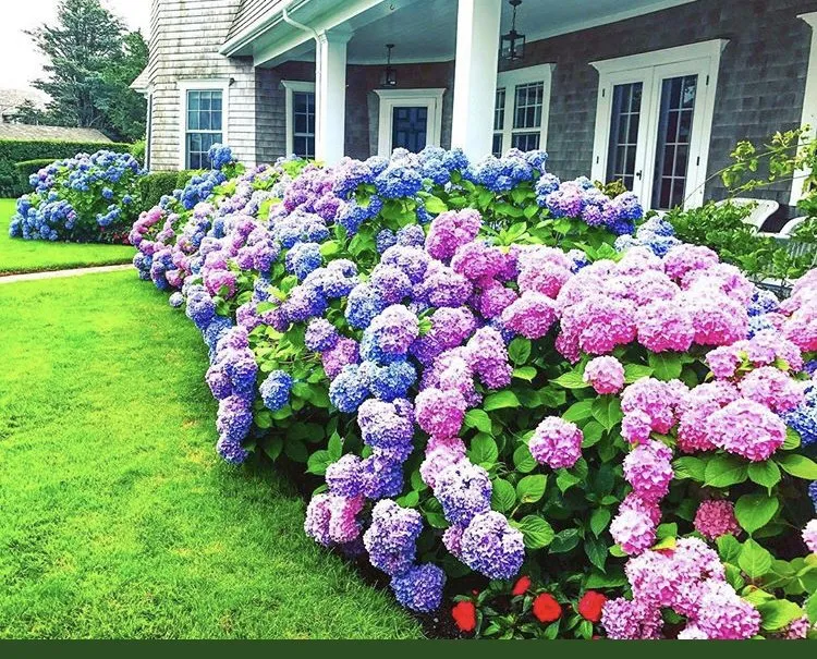 Affordable outdoor landscaping for residential properties across Duluth, GA - JJJ Landscaping