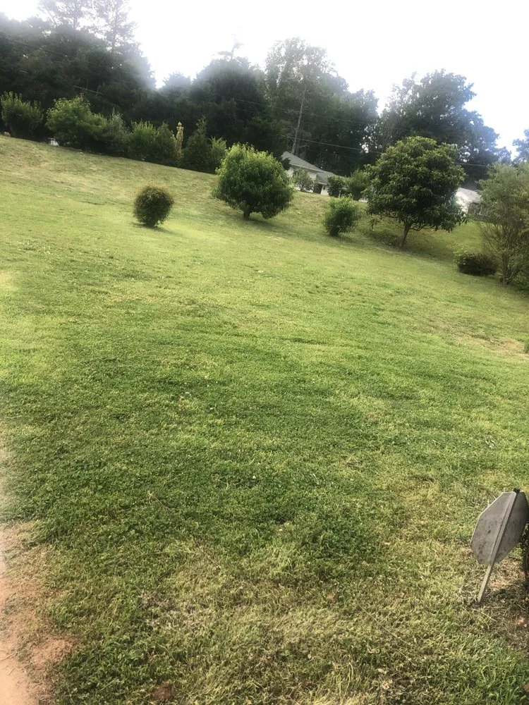 Affordable landscape installation in Duluth, GA by JJJ Landscaping