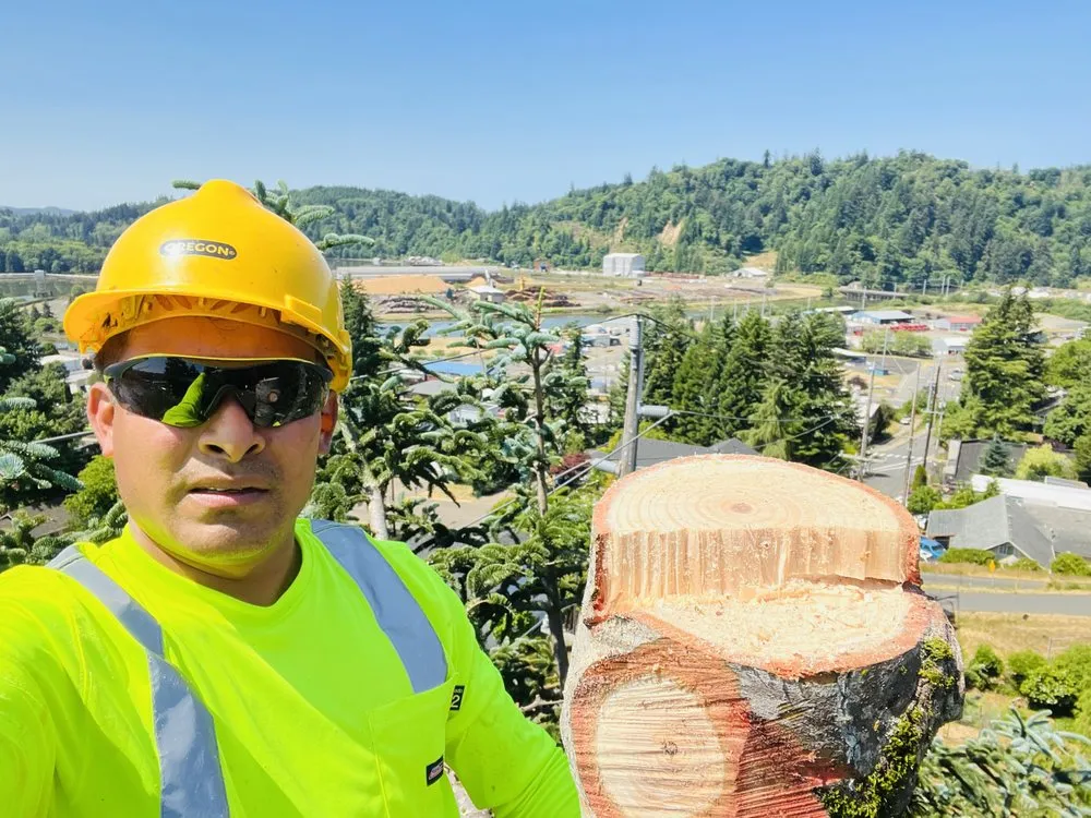 Top-rated outdoor landscaping in Newport, OR by jjj tree services