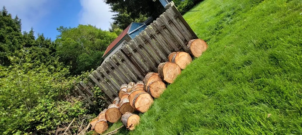 Reliable lawn care service for year-round maintenance in Newport, OR by jjj tree services