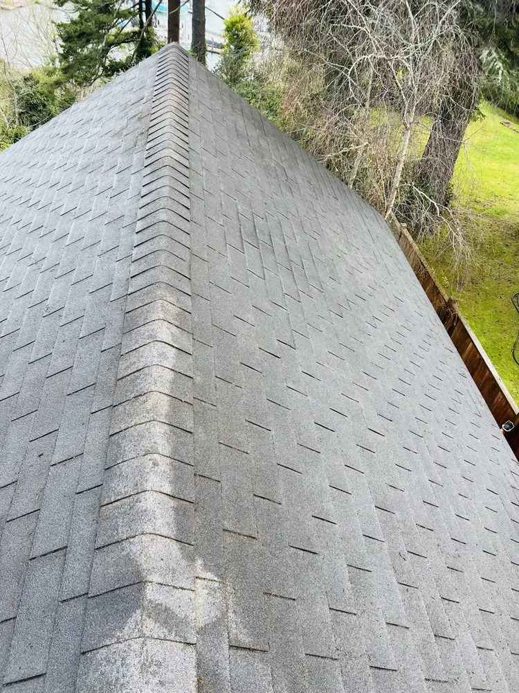 Trusted landscape design experts serving Newport, OR - jjj tree services