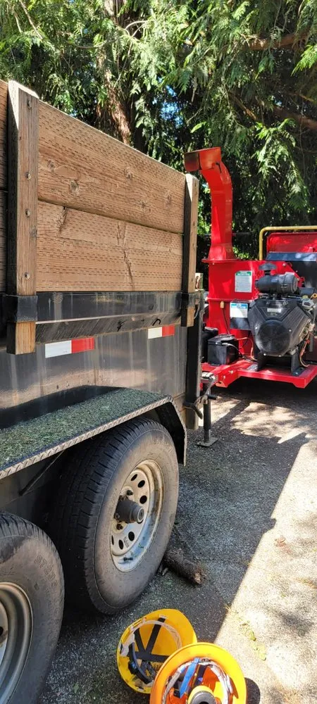 Reliable yard cleanup service in Newport, OR by jjj tree services