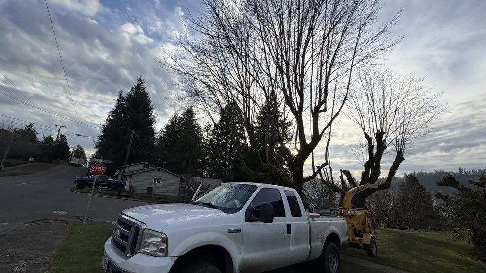 Reliable landscaping services in Newport, OR - jjj tree services