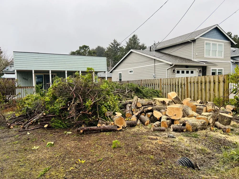 Expert lawn care service in Newport, OR - jjj tree services