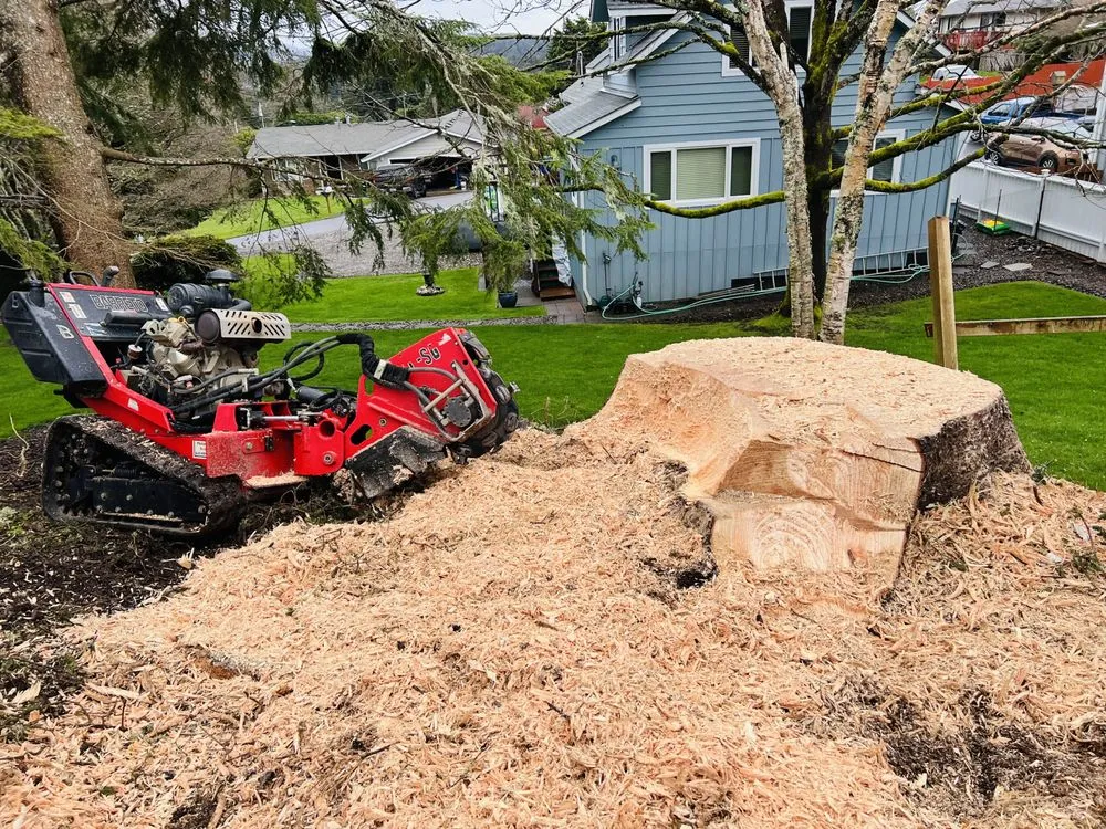 Expert landscape installation for year-round maintenance in Newport, OR by jjj tree services