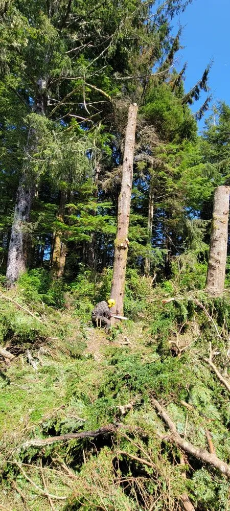 Custom outdoor landscaping in Newport, OR - jjj tree services