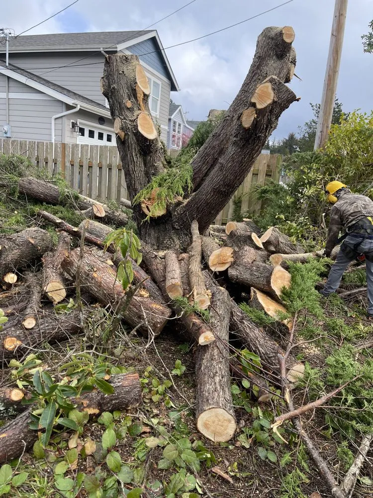 Custom landscaping services in Newport, OR - jjj tree services