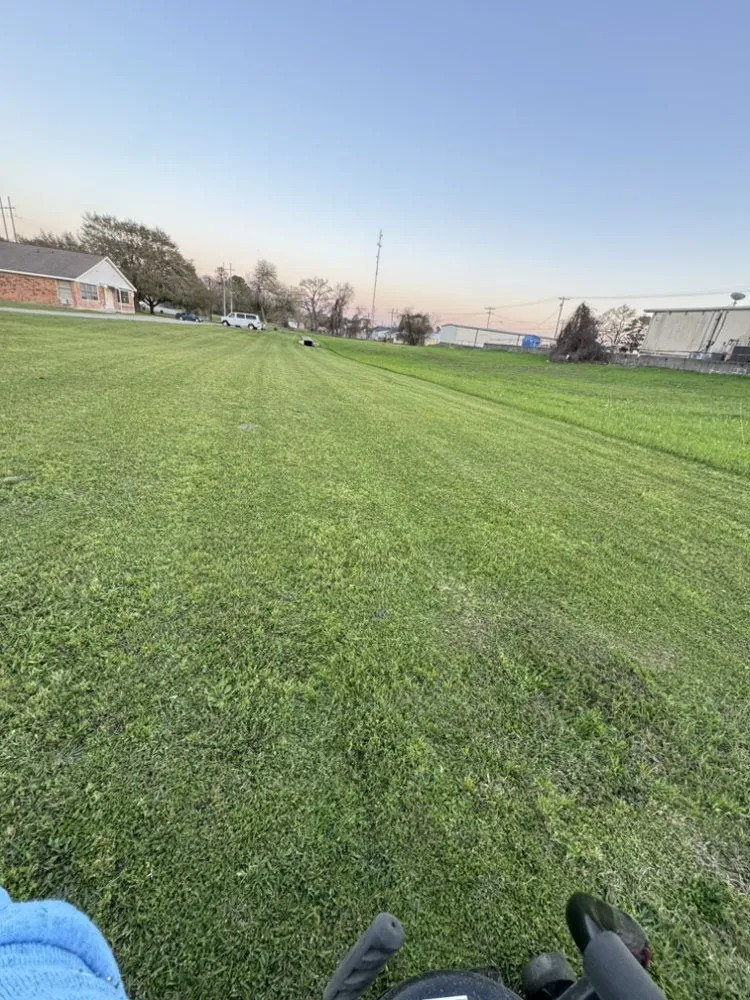 Local residential landscaping experts serving Seguin, TX - JJJRich Servicing