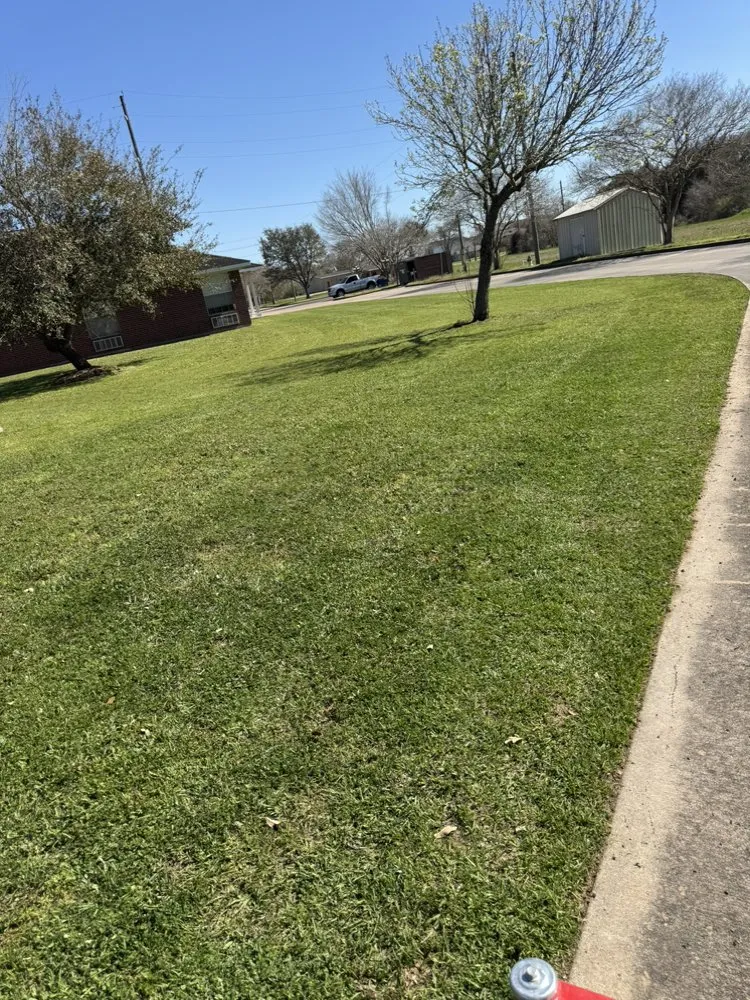 Custom garden landscaping for outdoor upgrades across Seguin, TX - JJJRich Servicing