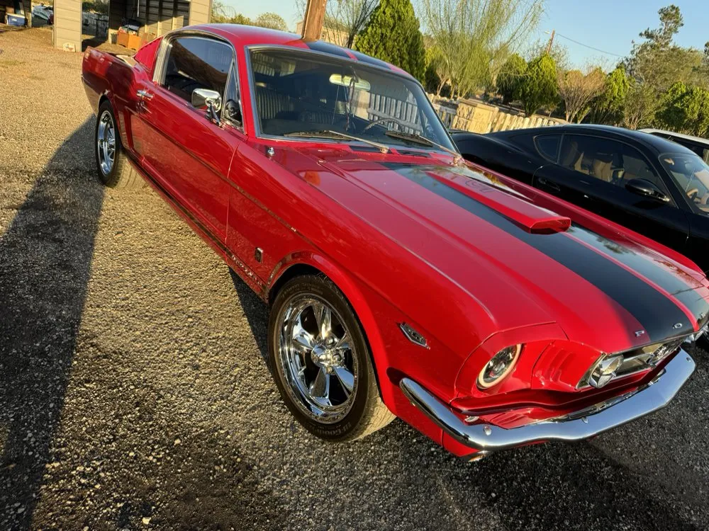 Reliable yard cleanup service in Seguin, TX by JJJRich Servicing