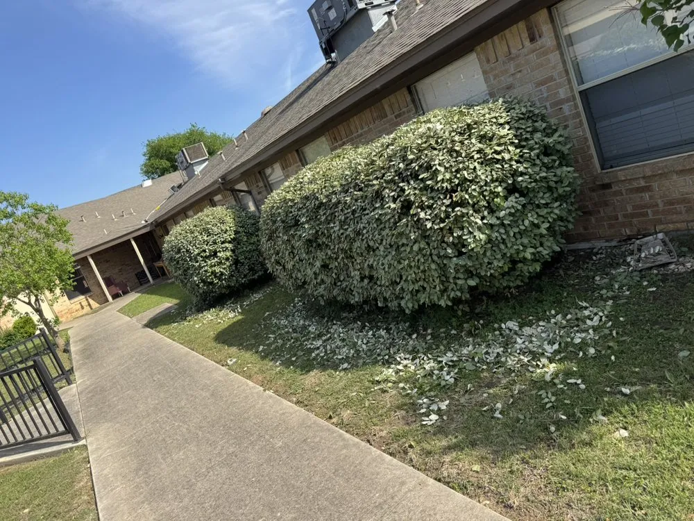 Reliable residential landscaping experts serving Seguin, TX - JJJRich Servicing