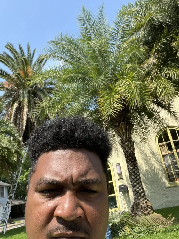 Trusted landscape installation with custom design across Westwego, LA - JJL LANDSCAPING & Tree Services