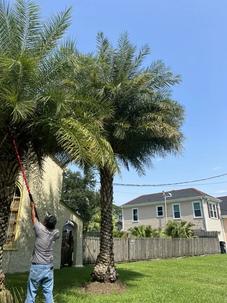 Top-rated lawn care service in Westwego, LA by JJL LANDSCAPING & Tree Services