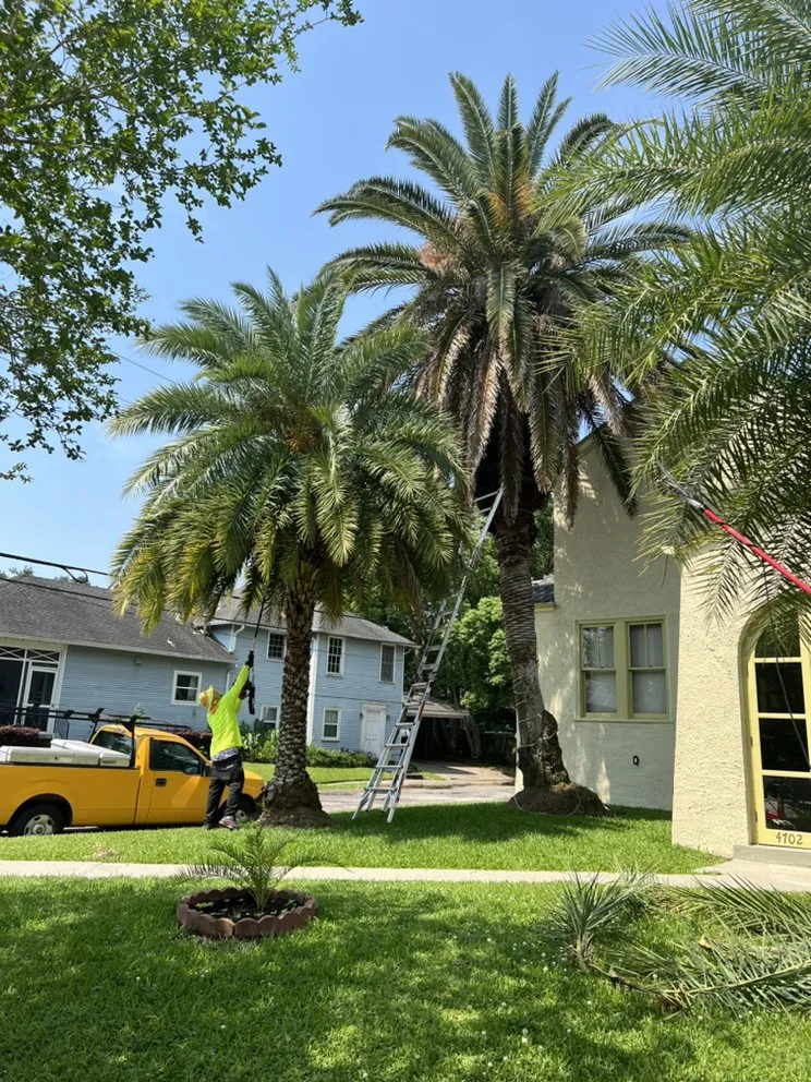 Local landscape installation in Westwego, LA by JJL LANDSCAPING & Tree Services