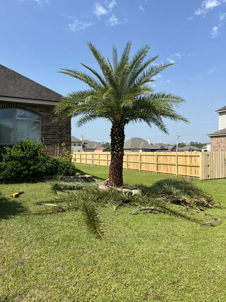 Expert landscaping services for beautiful yards in Westwego, LA by JJL LANDSCAPING & Tree Services