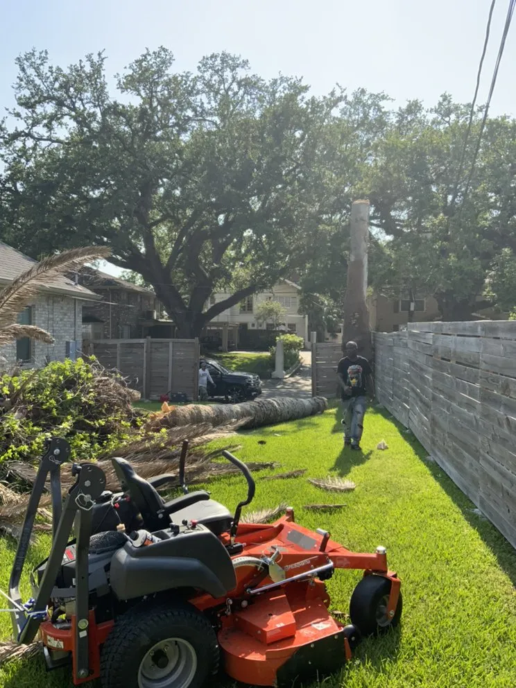Top-rated yard maintenance in Westwego, LA - JJL LANDSCAPING & Tree Services