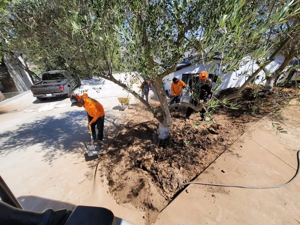 Expert outdoor landscaping for outdoor upgrades across La Puente, CA - JJL Landscaping