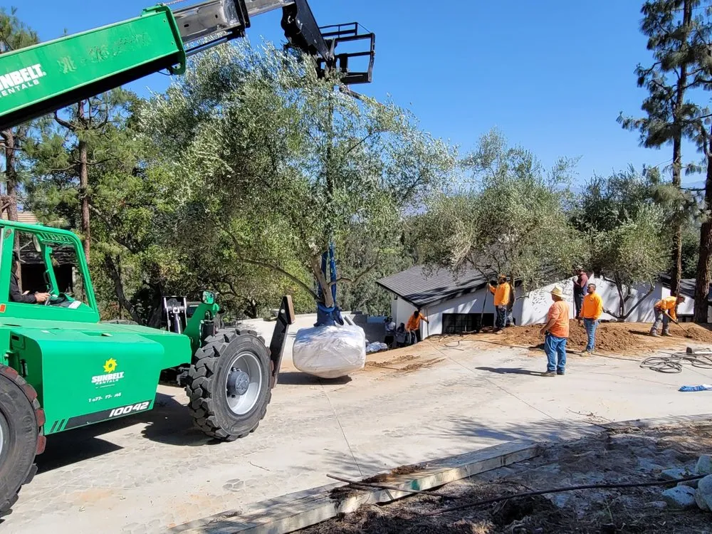 Reliable yard cleanup service in La Puente, CA - JJL Landscaping