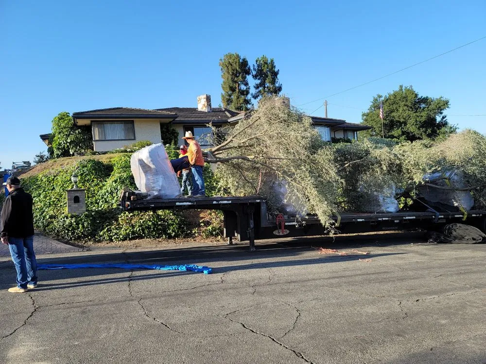 Professional residential landscaping experts serving La Puente, CA - JJL Landscaping
