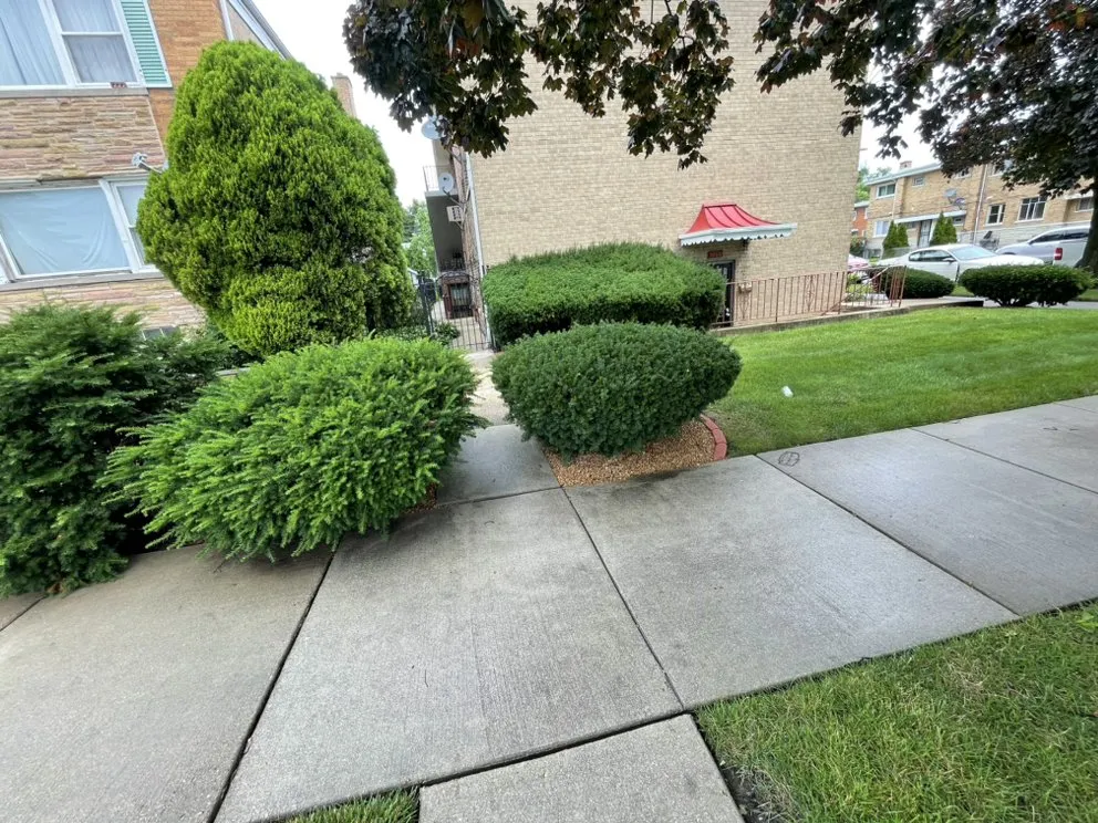 Affordable landscape installation in Chicago, IL - JJL Landscaping Svc