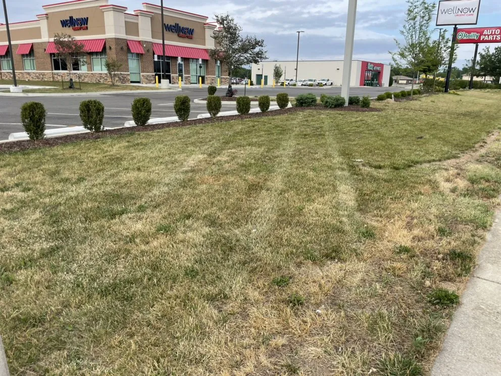 Local lawn care service experts serving Columbus, IN - JJM Lawn Service