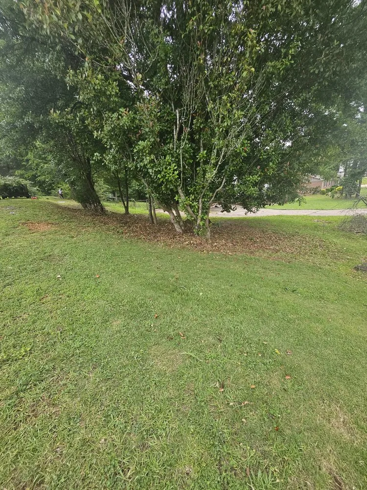 Reliable outdoor landscaping for outdoor upgrades in Anniston, AL by Jjmc Lawn Maintenance and Handy Services