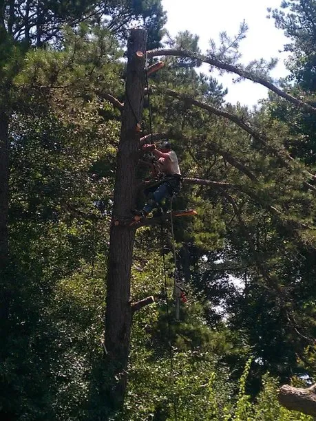 Top-rated garden landscaping for homes in Seneca, SC by JJNC