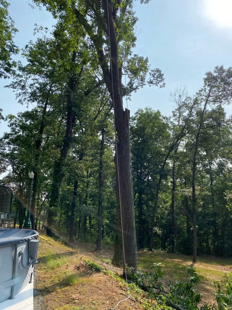 Local garden landscaping in Seneca, SC - JJNC