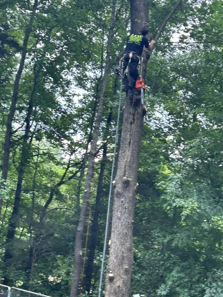 Local lawn mowing service for residential properties in Seneca, SC by JJNC