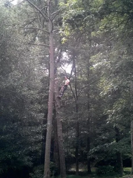 Custom landscape installation experts serving Seneca, SC - JJNC