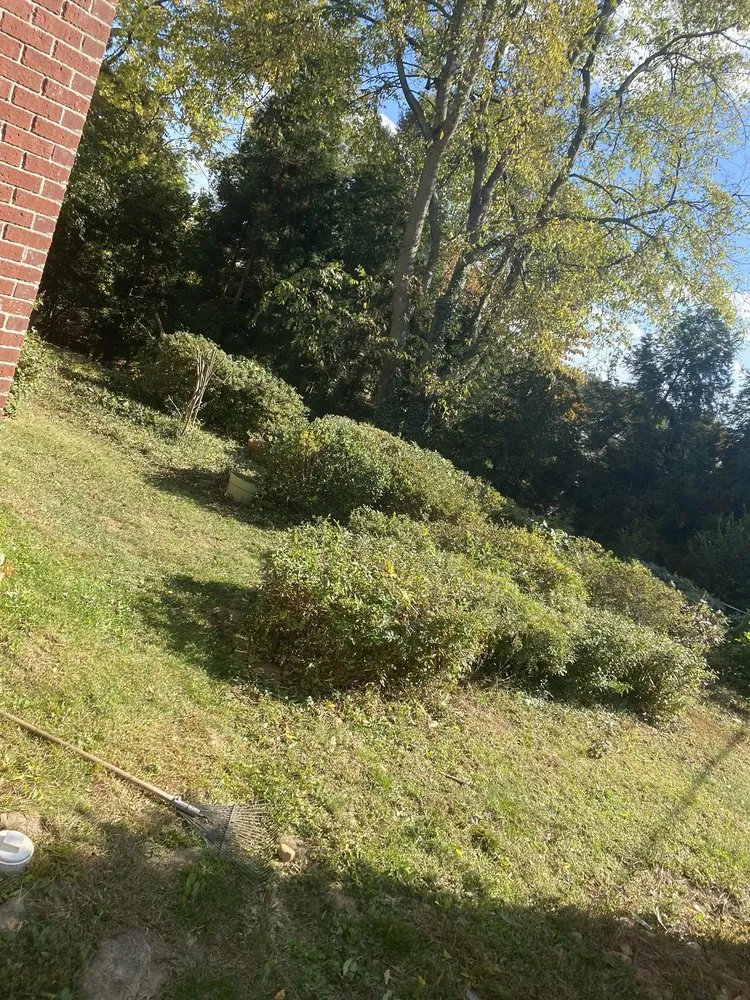 Reliable landscape installation in Smyrna, GA - JJP Scenery Solutions