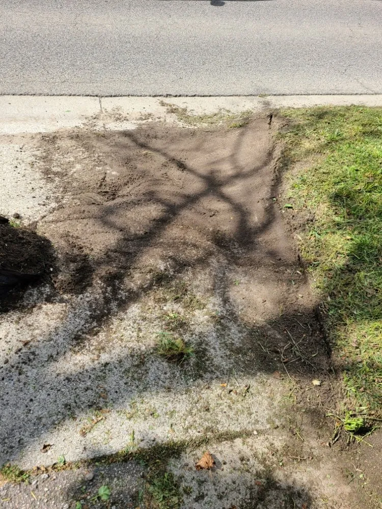 Reliable lawn mowing service in Lansing, MI by Jjr Lawn Care