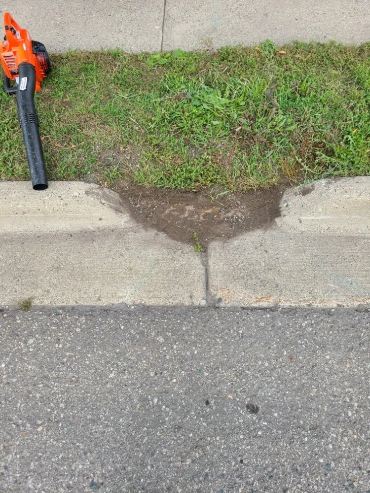 Professional yard maintenance near you across Lansing, MI - Jjr Lawn Care