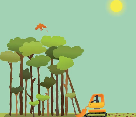 Local yard maintenance for homes across Palmetto, FL - JJR Tree Services Landscaping