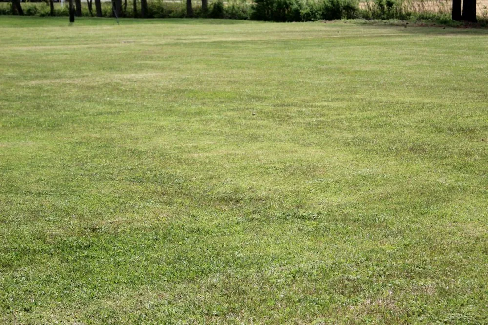 Top-rated outdoor landscaping for year-round maintenance in Windsor, NC by JJR Unlimited Lawn Care