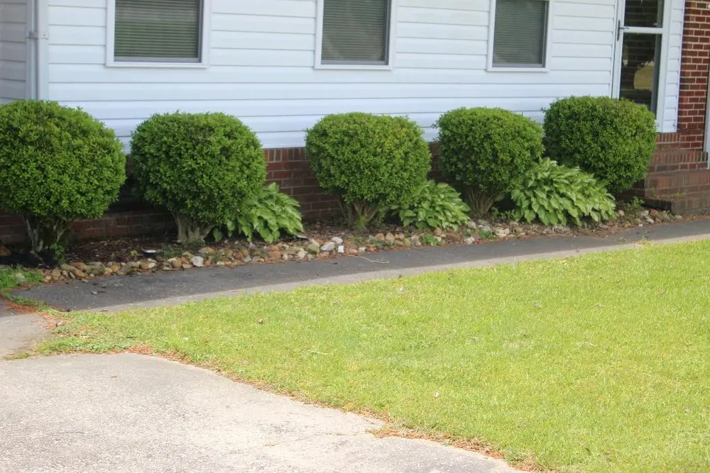 Top-rated yard cleanup service for outdoor upgrades in Windsor, NC by JJR Unlimited Lawn Care