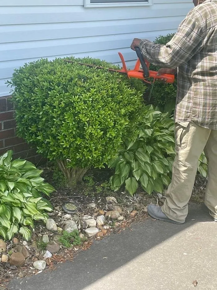 Local landscape installation with custom design across Windsor, NC - JJR Unlimited Lawn Care