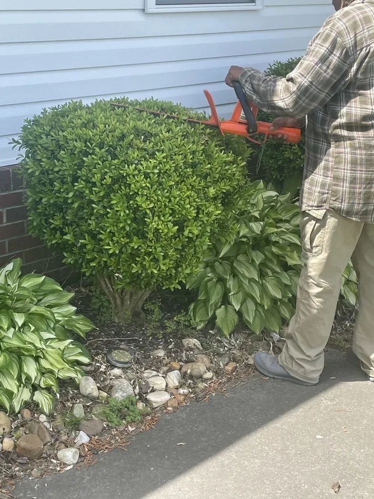 Affordable landscaping services for outdoor upgrades across Windsor, NC - JJR Unlimited Lawn Care