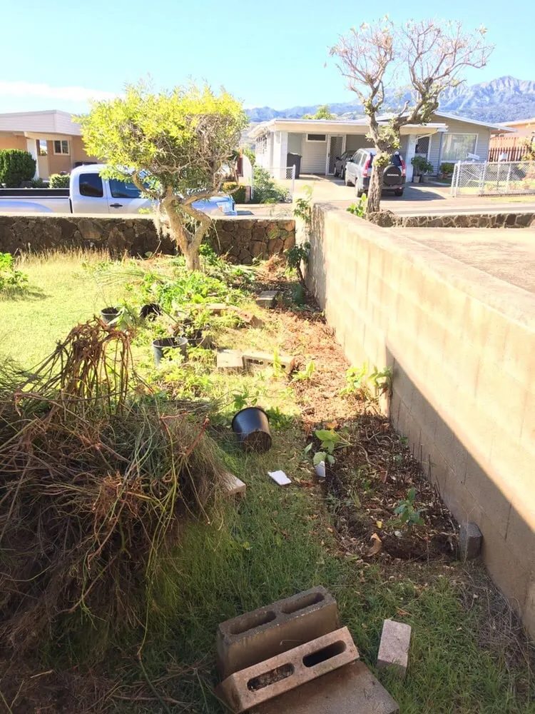 Top-rated outdoor landscaping in Honolulu County, HI by JJR Yard Service