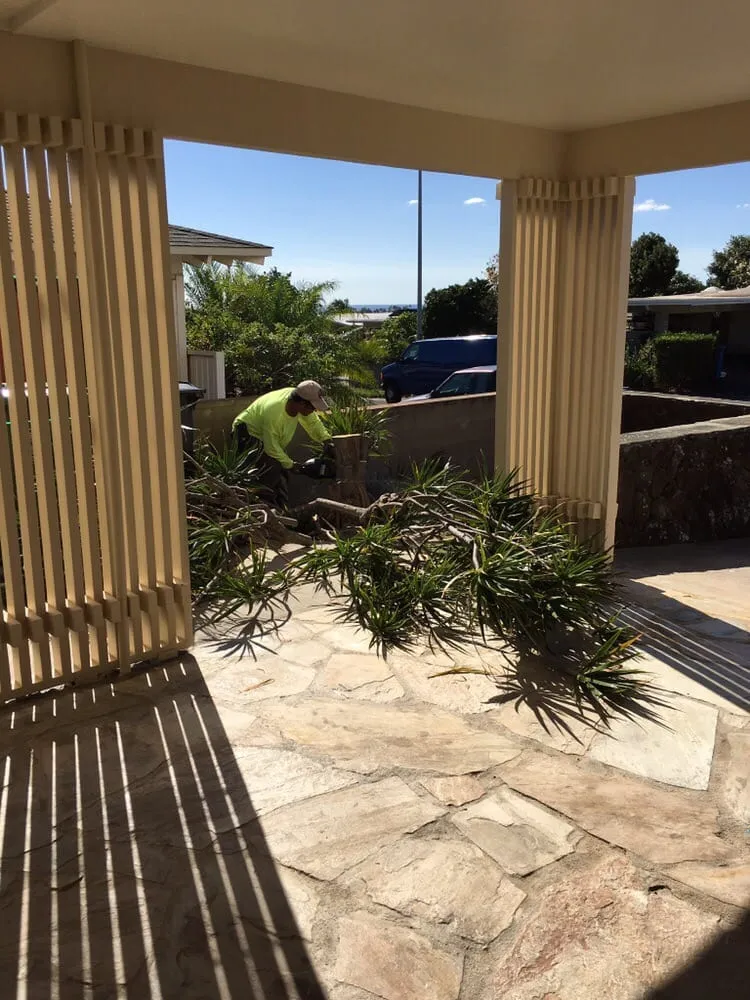 Custom yard cleanup service in Honolulu County, HI by JJR Yard Service