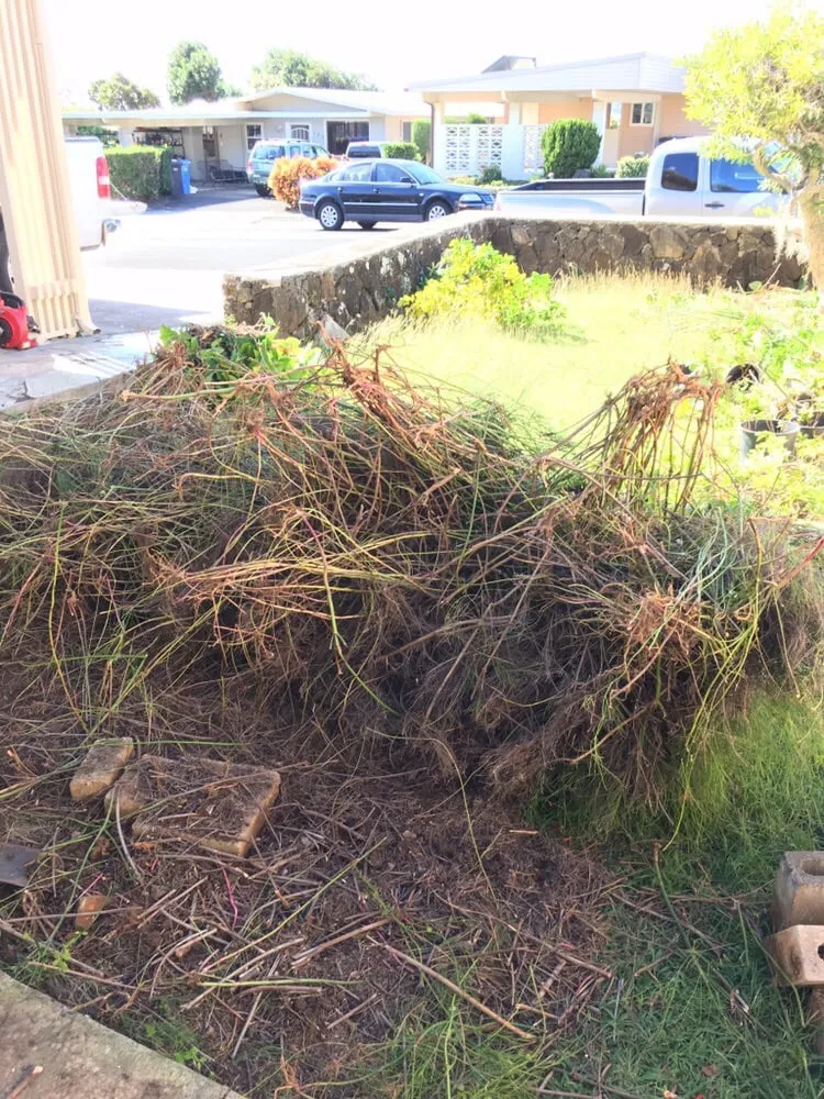 Trusted yard maintenance in Honolulu County, HI by JJR Yard Service