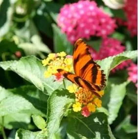 Professional lawn care service in Woodruff, WI by JJ's Acres