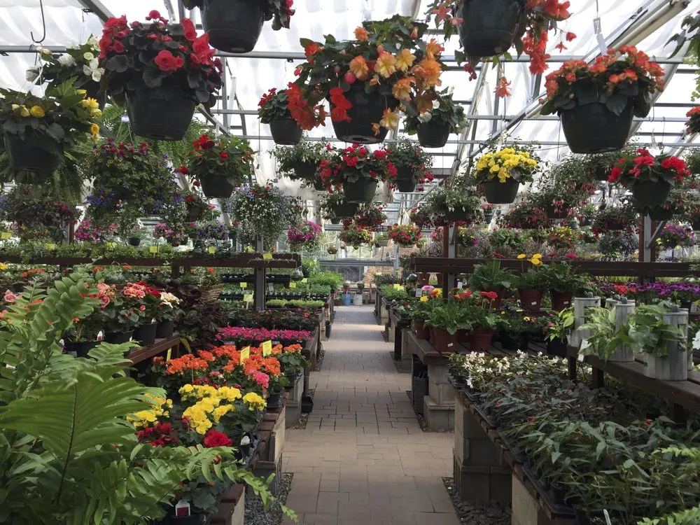 Reliable lawn mowing service in Woodruff, WI - JJ's Acres