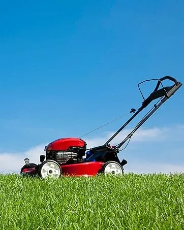 Reliable yard cleanup service with custom design in West Pittston, PA by JJs all season