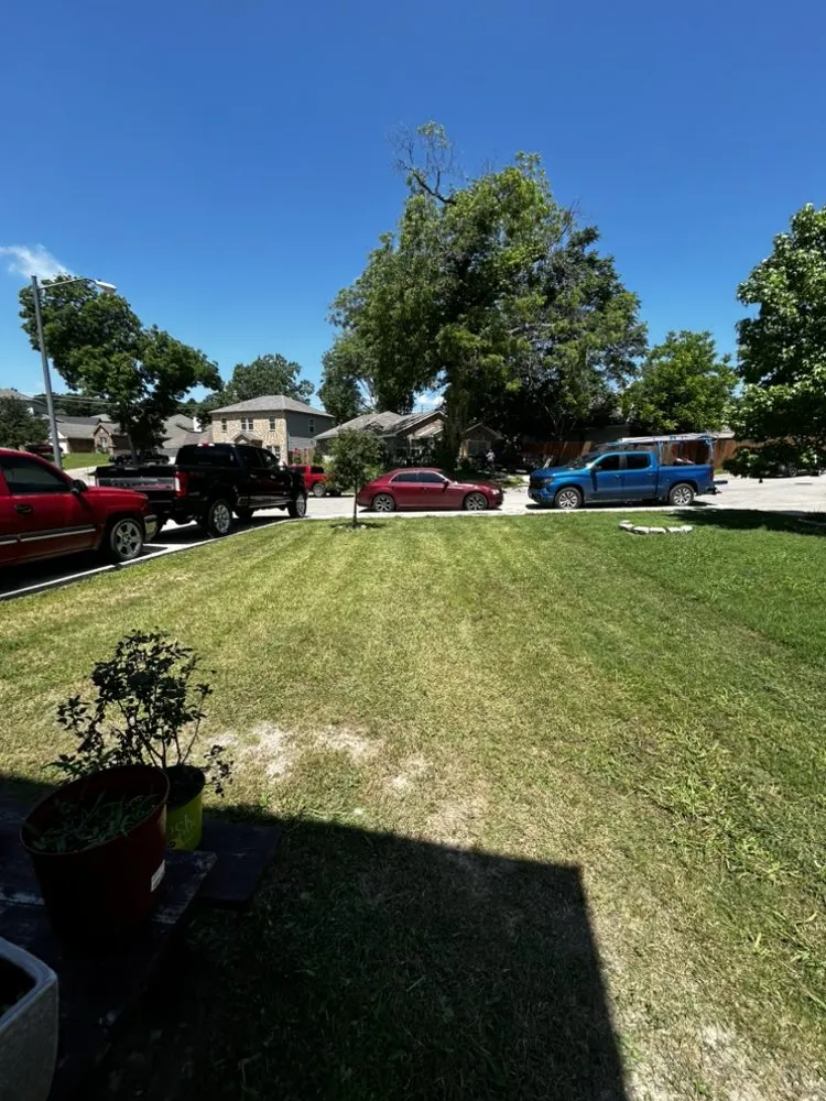 Expert yard cleanup service for residential properties across Dallas, TX - JJ’s Brothers Landscaping