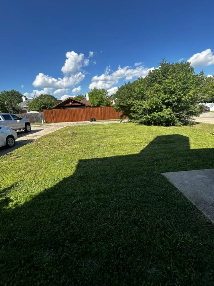 Custom yard cleanup service in Dallas, TX by JJ’s Brothers Landscaping