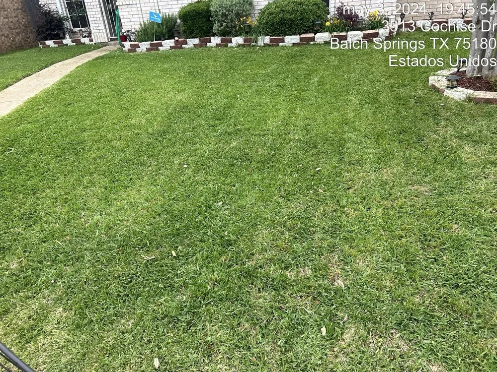 Reliable landscape design near you in Dallas, TX by JJ’s Brothers Landscaping