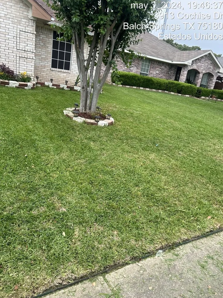 Professional yard maintenance for year-round maintenance in Dallas, TX by JJ’s Brothers Landscaping