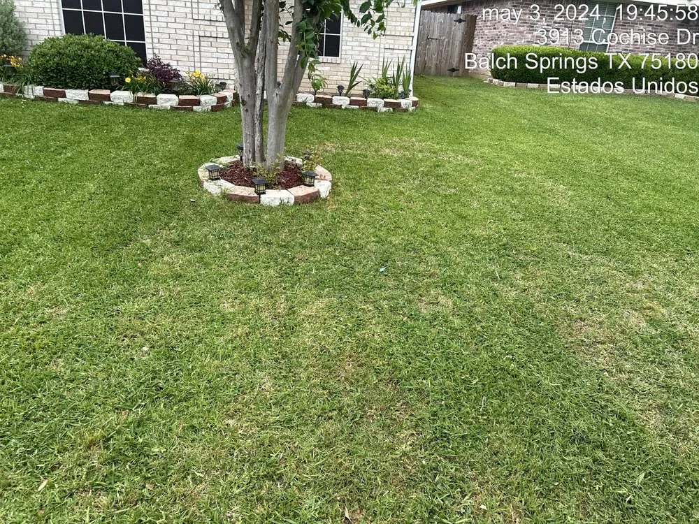 Local residential landscaping experts serving Dallas, TX - JJ’s Brothers Landscaping