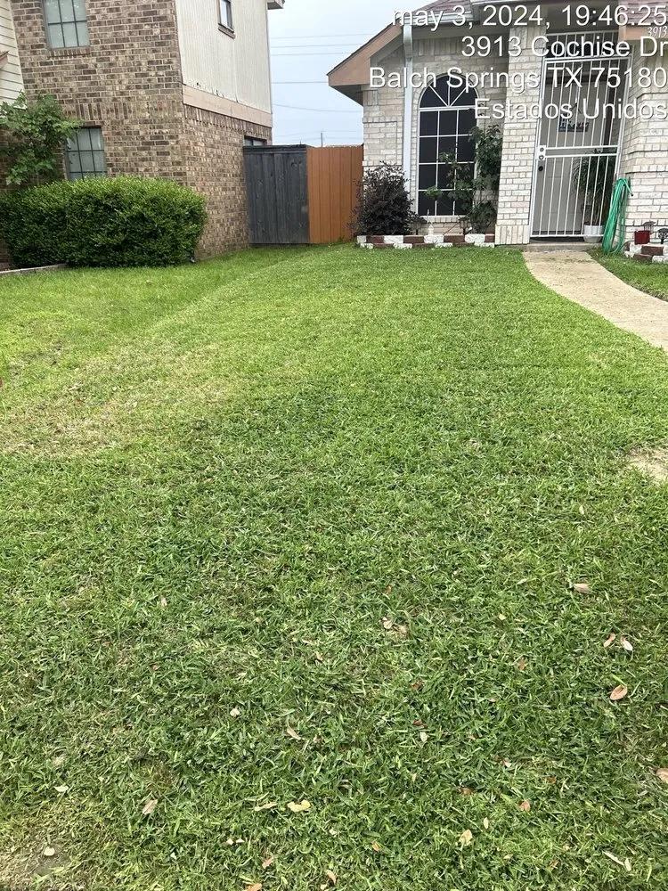 Trusted lawn care service for outdoor upgrades across Dallas, TX - JJ’s Brothers Landscaping